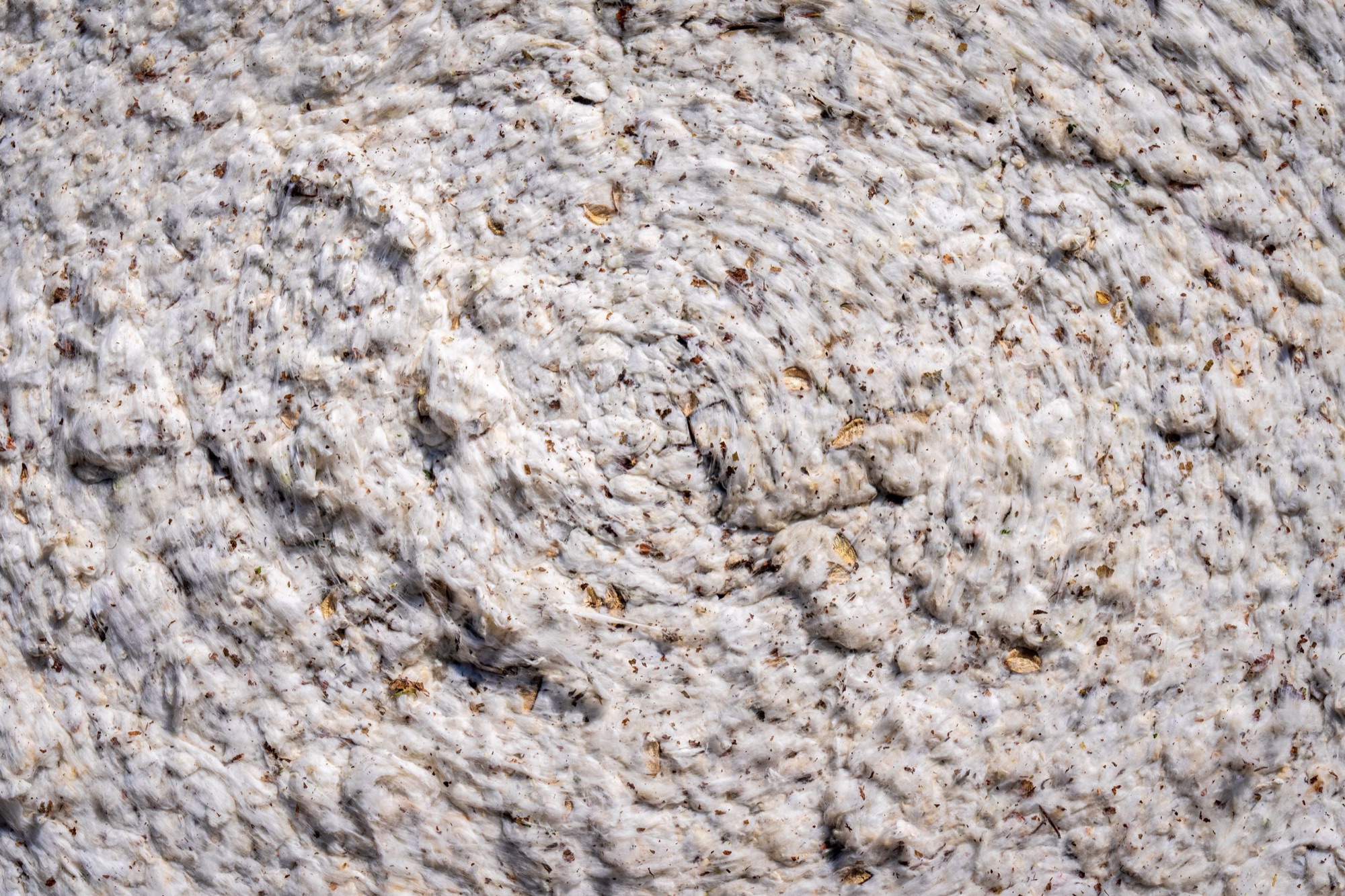 OEKO-TEX and GOTS certification labels explained — textile safety and organic standards